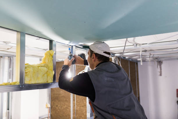 Best Energy Efficiency Insulation in Spring Grove, MN