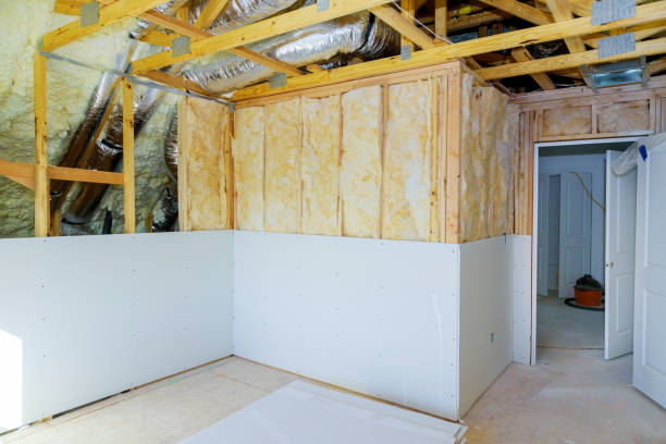 Best Residential Insulation in Spring Grove, MN