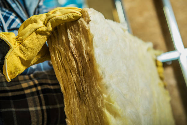Best Insulation Maintenance and Repair in Spring Grove, MN