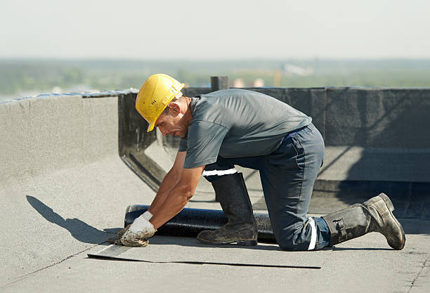 Best Specialized Insulation Services in Spring Grove, MN